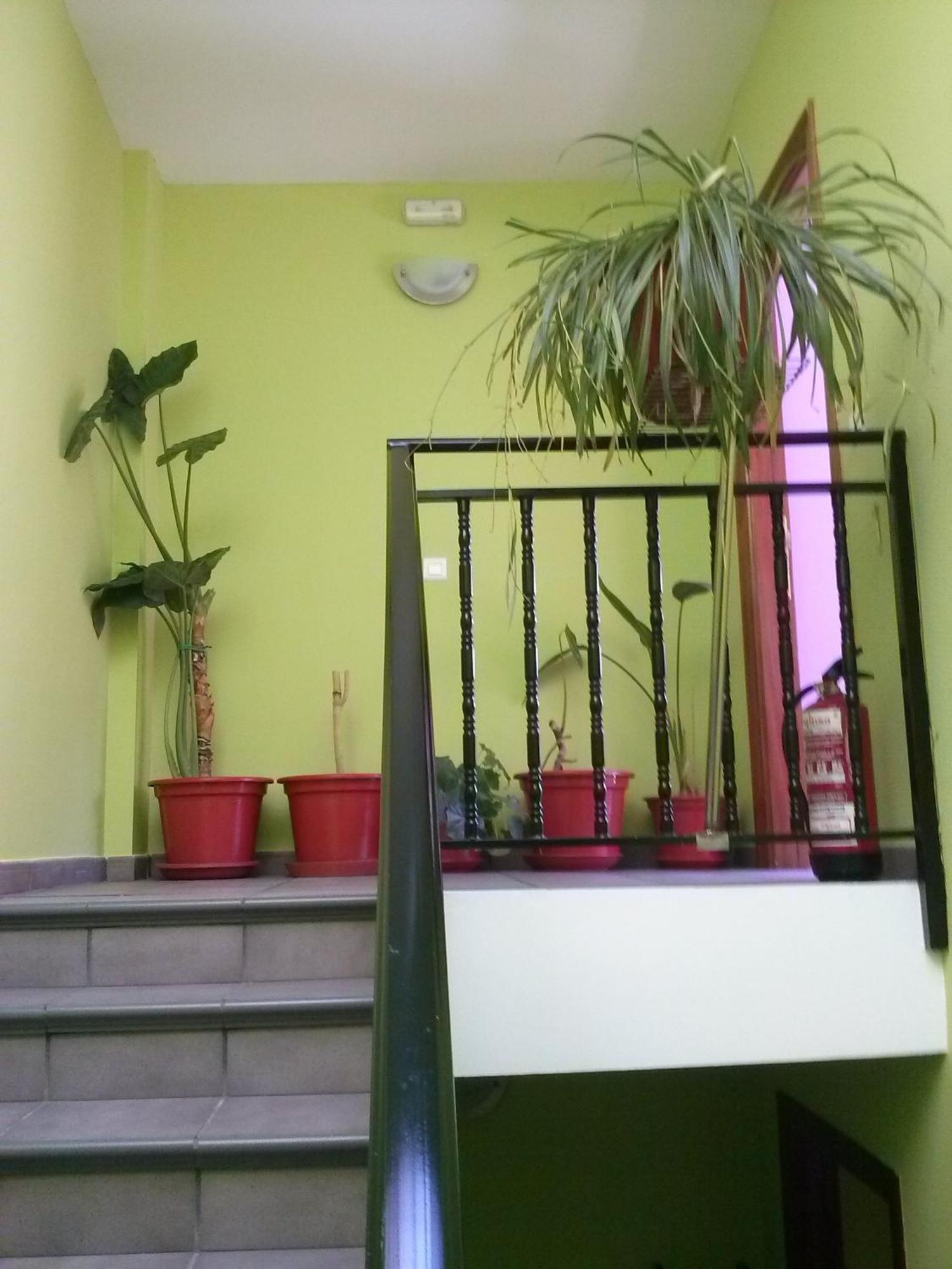 Hostal Ciudad De Nájera Rum bild