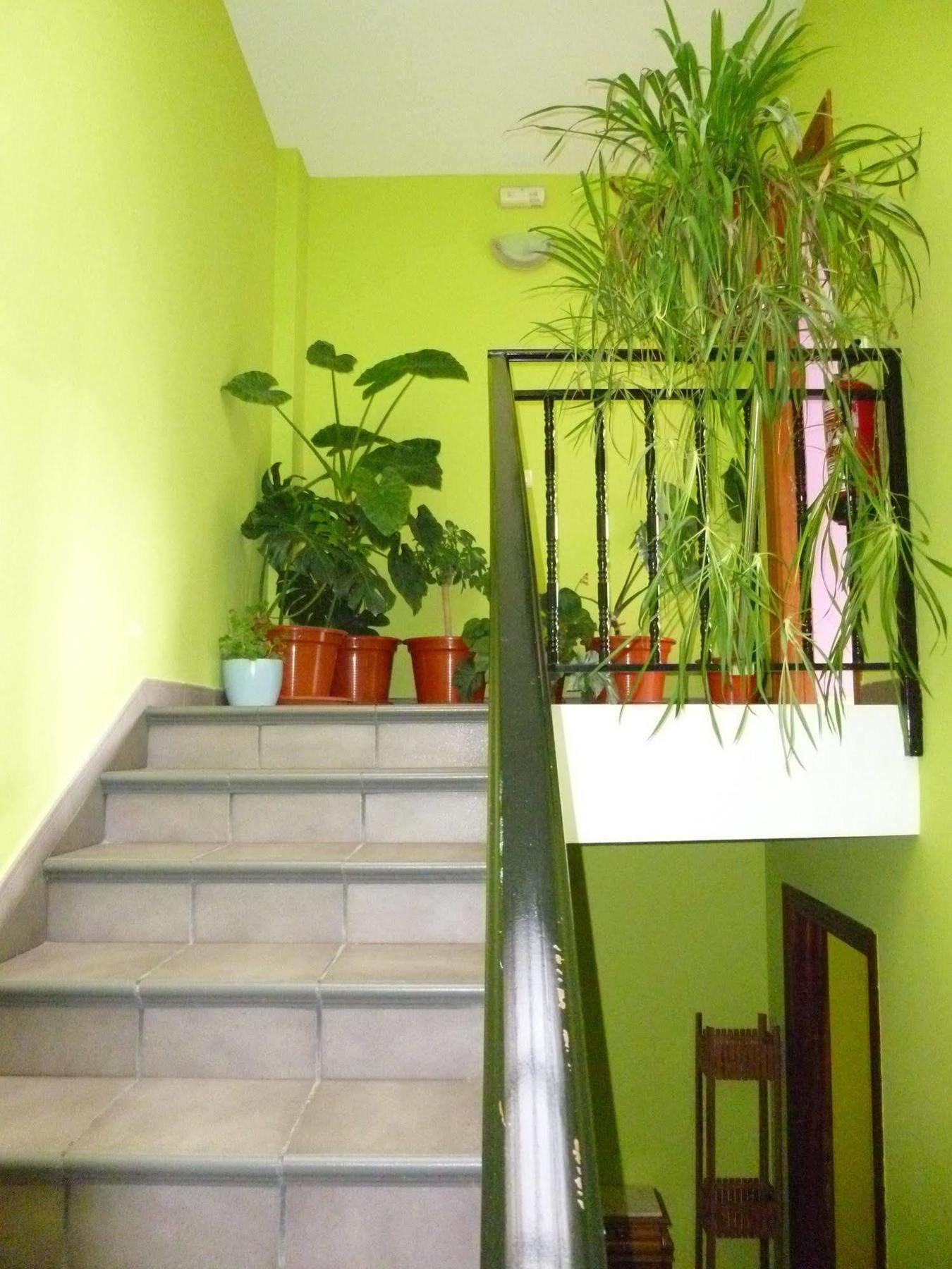 Hostal Ciudad De Nájera Exteriör bild